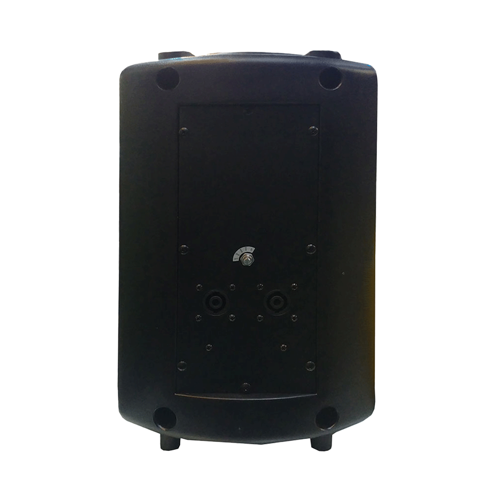 بلندگو دکوراتیو چیرمن مدل PG-8 نمای داخلی